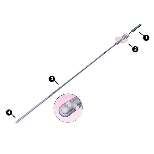 Canule d'insémination intra utérine Ainsegrey