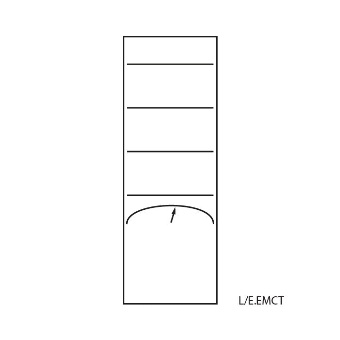 Echelles lumineuses EMCT