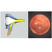 Heine Beta 200 set de diagnostic