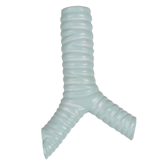 Torse avec dos ouvert