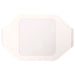 Pansement perfusion Zarys elastoDERM  F